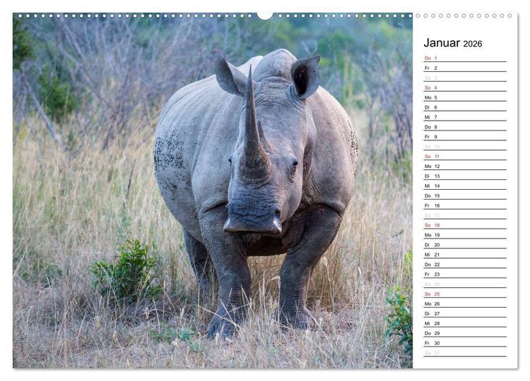 Produktbild: S&uuml;dafrika - Big 5 und mehr (hochwertiger Premium Wandkalender 2026 DIN A2 quer), Kunstdruck in Hochglanz