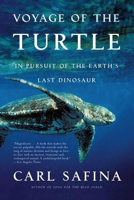 Produktbild: Voyage of the Turtle