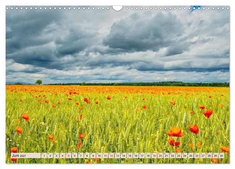 Produktbild: Freiburg Regio - Heimat in Bildern (Wandkalender 2027 DIN A3 quer), CALVENDO Monatskalender