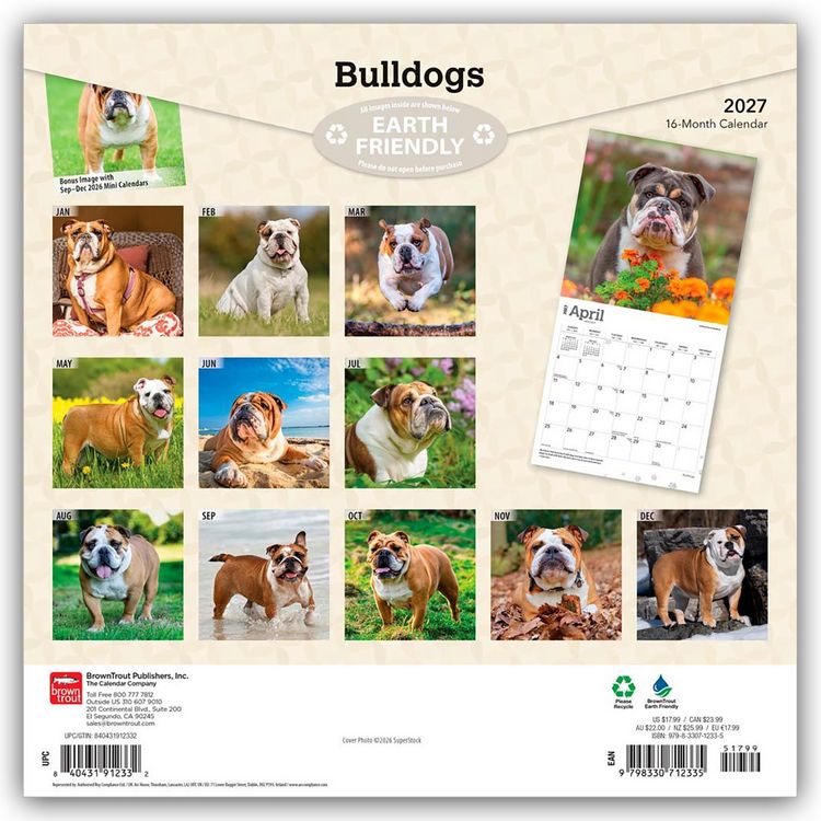 Produktbild: Bulldogs &ndash; Bulldogge 2027 &ndash; 16-Monatskalender