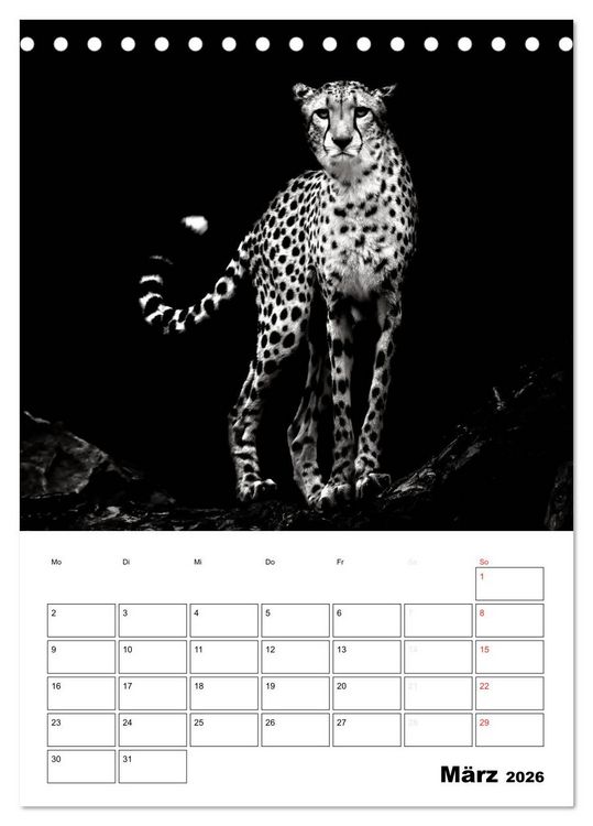 Produktbild: Charakterk&ouml;pfe aus der Welt der Tiere (Tischkalender 2026 DIN A5 hoch), CALVENDO Monatskalender
