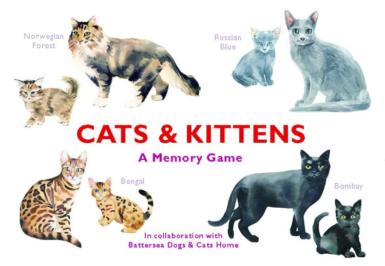 Produktbild: Cats & Kittens