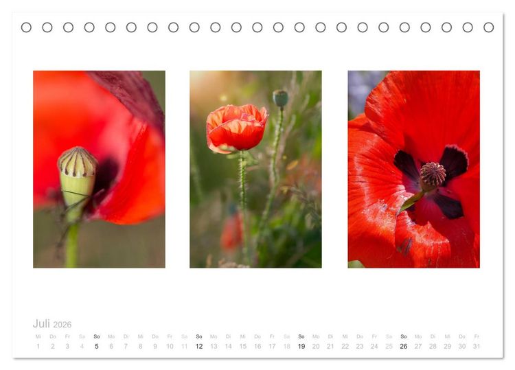 Produktbild: Blumen Trilogien (Tischkalender 2026 DIN A5 quer), CALVENDO Monatskalender