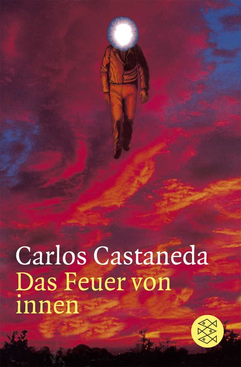 Produktbild: Das Feuer von innen