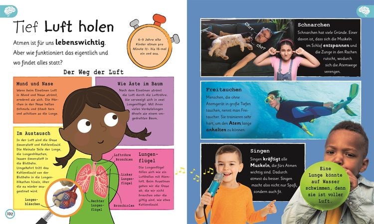 Wissen für Vorschulkids. Was weißt du über den Körper?