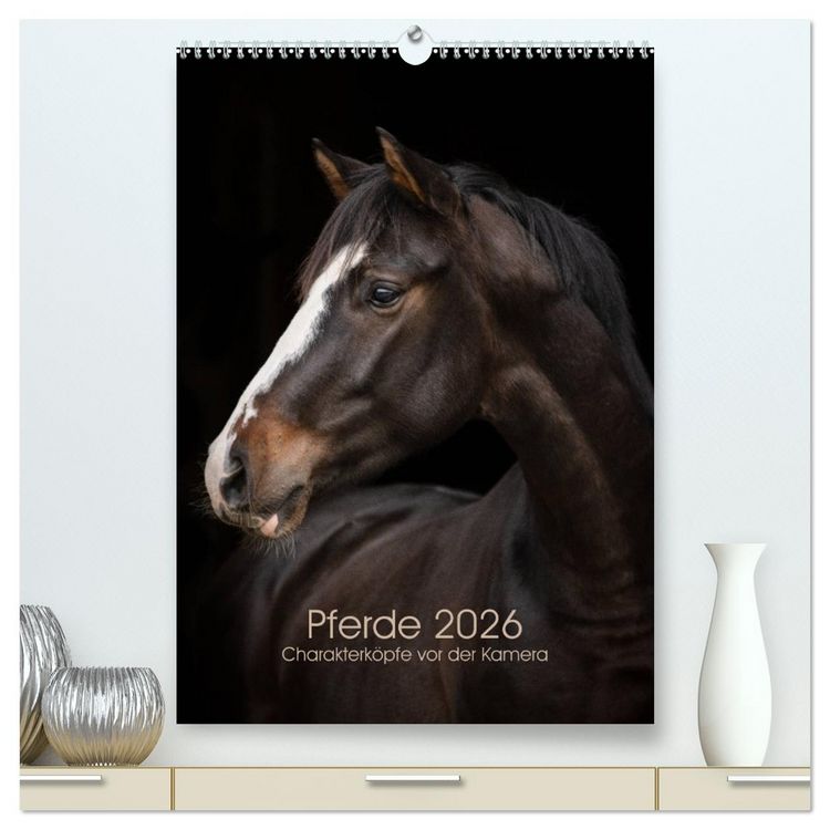 Produktbild: Pferde 2026 - Charakterk&ouml;pfe vor der Kamera (hochwertiger Premium Wandkalender 2026 DIN A2 hoch), Kunstdruck in Hochglanz