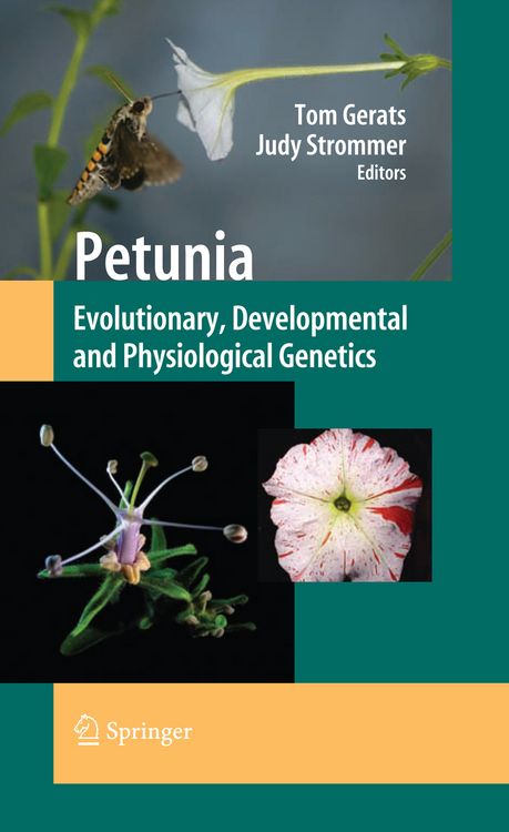 Produktbild: Petunia