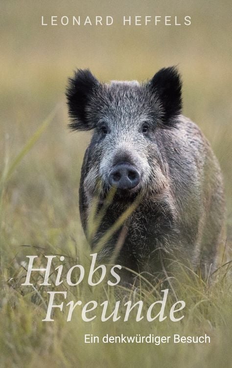 Produktbild: Hiobs Freunde
