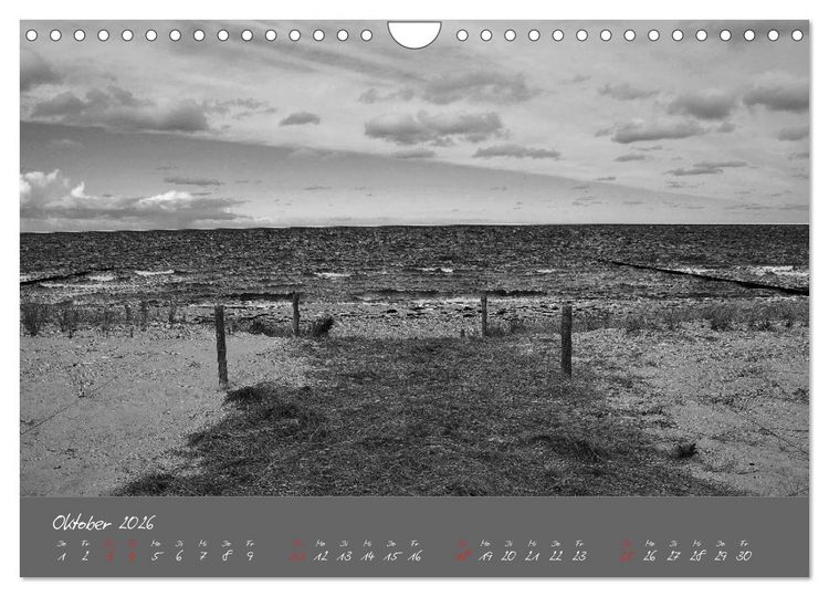 Produktbild: Wege zum Meer (Wandkalender 2026 DIN A4 quer), CALVENDO Monatskalender
