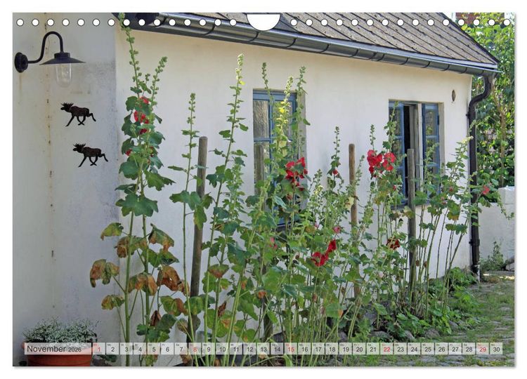 Produktbild: BUNTES &Ouml;LAND (Wandkalender 2026 DIN A4 quer), CALVENDO Monatskalender