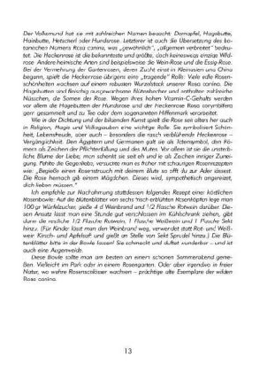 Produktbild: Ein botanischer M&auml;rchengarten