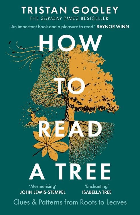 Produktbild: How to Read a Tree