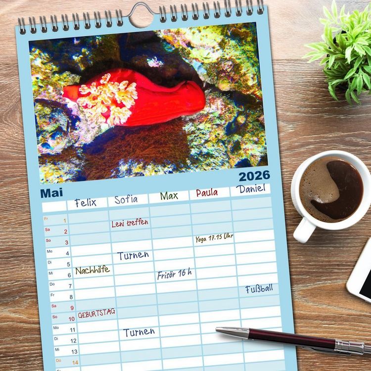 Produktbild: Familienplaner 2026 - Geheimnisvolle Welt unter Wasser - Nachts am Riff mit 5 Spalten (Wandkalender, 21 x 45 cm) CALVENDO