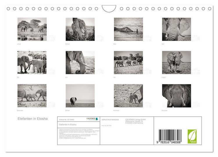 Produktbild: Elefanten in Etosha (Wandkalender 2026 DIN A4 quer), CALVENDO Monatskalender