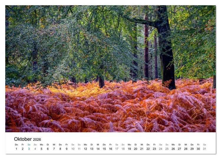 Produktbild: Magie der W&auml;lder Britanniens (hochwertiger Premium Wandkalender 2026 DIN A2 quer), Kunstdruck in Hochglanz