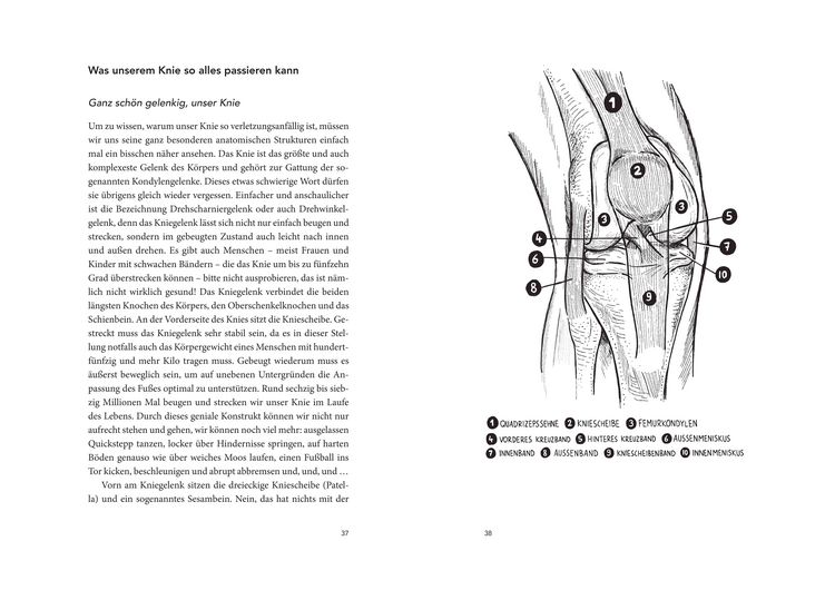 Produktbild: Der Knie-Fall