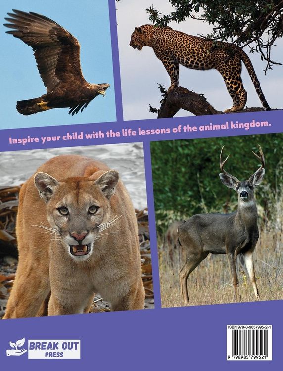 Produktbild: My Animal Teacher