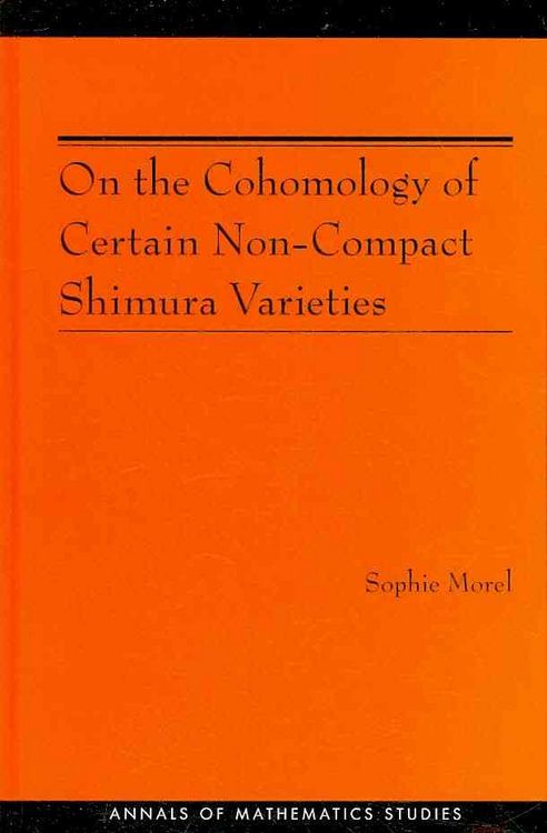 Produktbild: On the Cohomology of Certain Non-Compact Shimura Varieties (Am-173)