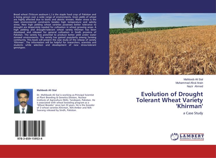 Produktbild: Evolution of Drought Tolerant Wheat Variety 'Khirman'