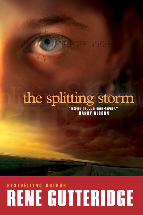Produktbild: The Splitting Storm