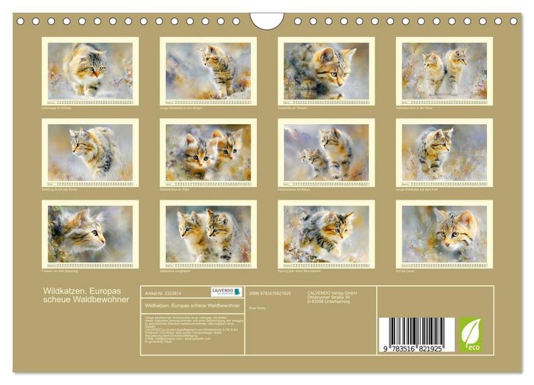 Produktbild: Wildkatzen. Europas scheue Waldbewohner (Wandkalender 2027 DIN A4 quer), CALVENDO Monatskalender