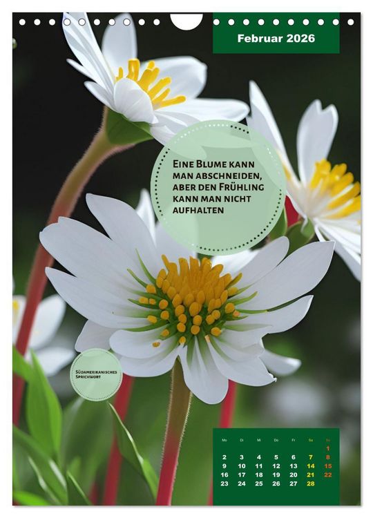 Produktbild: Verr&uuml;ckt nach BLUMEN Artwork - Farben - Zitate (Wandkalender 2026 DIN A4 hoch), CALVENDO Monatskalender