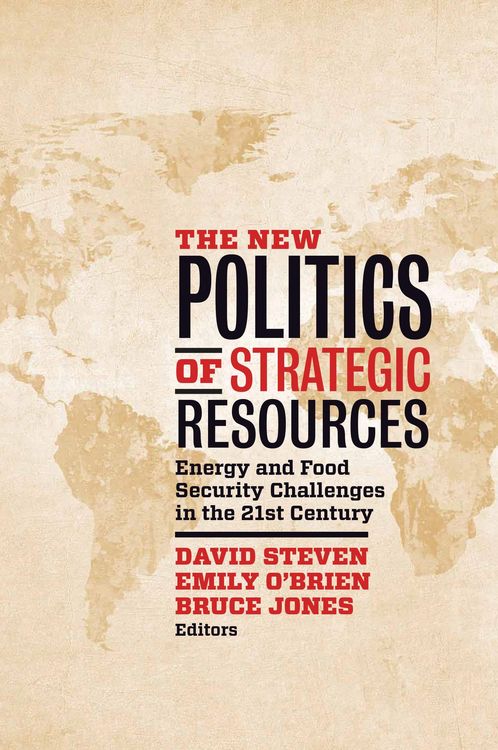 Produktbild: The New Politics of Strategic Resources