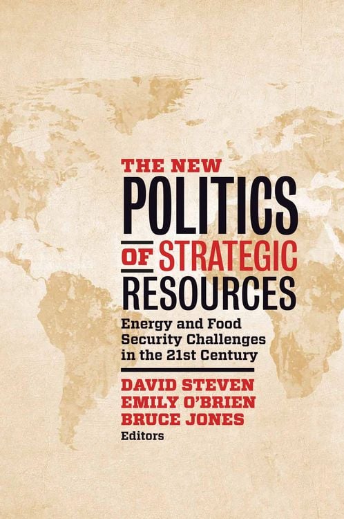 Produktbild: The New Politics of Strategic Resources