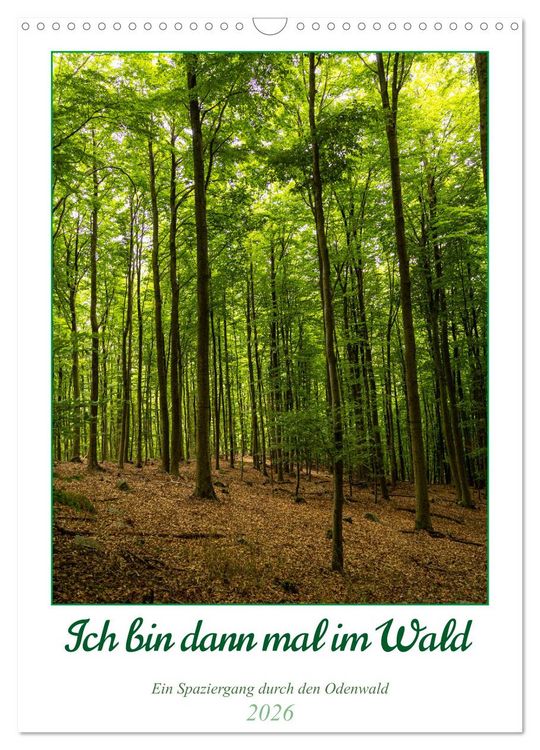 Produktbild: Ich bin dann mal im Wald (Wandkalender 2026 DIN A3 hoch), CALVENDO Monatskalender