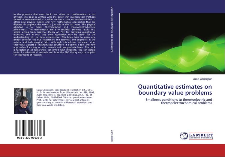 Produktbild: Quantitative estimates on boundary value problems