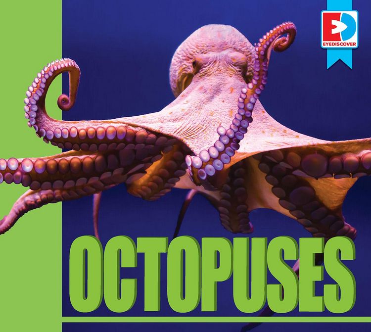Produktbild: Octopuses