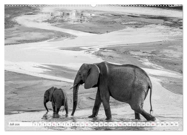 Produktbild: Emotionale Momente: Elefanten in black & white (hochwertiger Premium Wandkalender 2026 DIN A2 quer), Kunstdruck in Hochglanz