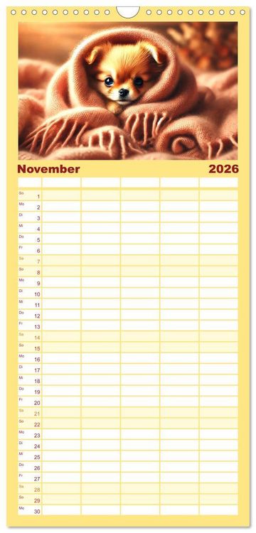 Produktbild: Familienplaner 2026 - Chihuahua-Welpen &ndash; Kleine Wunder mit 5 Spalten (Wandkalender, 21 x 45 cm) CALVENDO