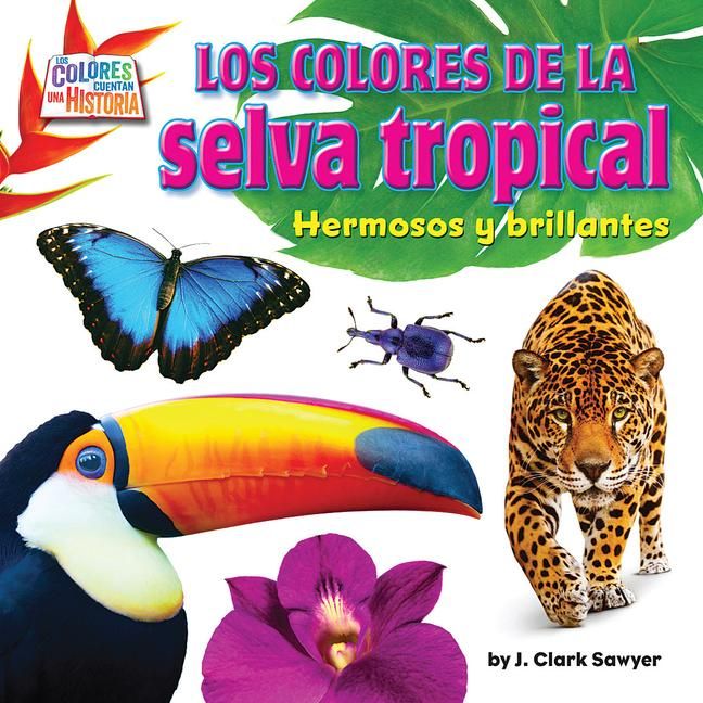 Produktbild: Rain Forest Colors: Bright and Beautiful