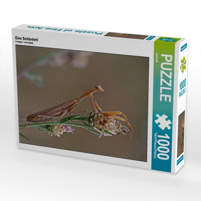 Produktbild: CALVENDO Puzzle Eine Sch&ouml;nheit | 1000 Teile Lege-Gr&ouml;&szlig;e 64x48cm Foto-Puzzle f&uuml;r gl&uuml;ckliche Stunden