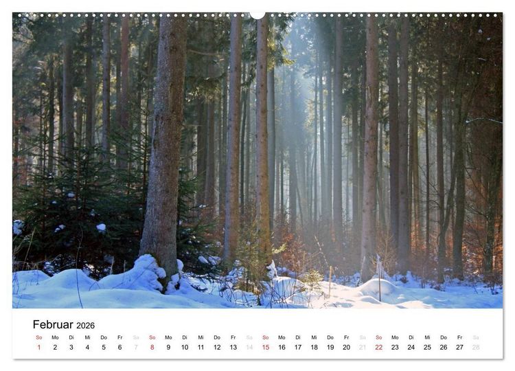 Produktbild: Der Ebersberger Forst und seine Umgebung (hochwertiger Premium Wandkalender 2026 DIN A2 quer), Kunstdruck in Hochglanz