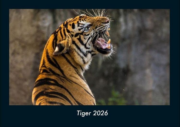 Produktbild: Tiger 2026 Fotokalender DIN A4