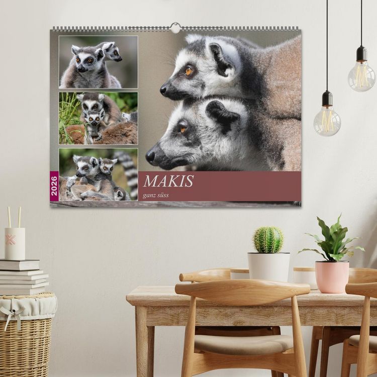 Produktbild: Makis ganz s&uuml;ss (Wandkalender 2026 DIN A2 quer), CALVENDO Monatskalender