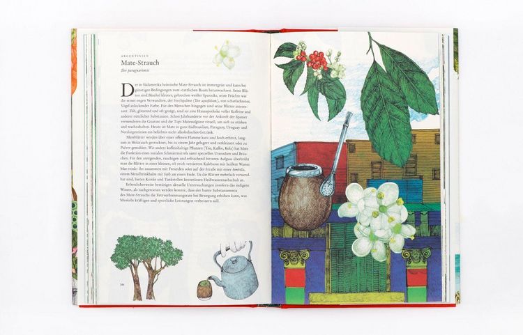 Produktbild: In 80 Pflanzen um die Welt