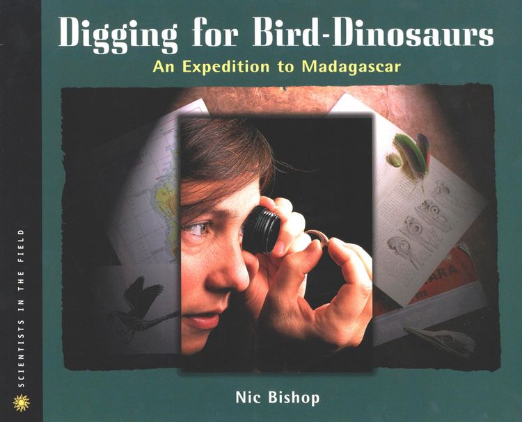 Produktbild: Digging for Bird-Dinosaurs