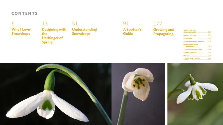 Produktbild: The Plant Lover's Guide to Snowdrops