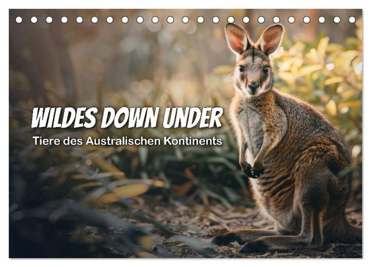 Produktbild: Wildes Down Under: Tiere des Australischen Kontinents (Tischkalender 2026 DIN A5 quer), CALVENDO Monatskalender