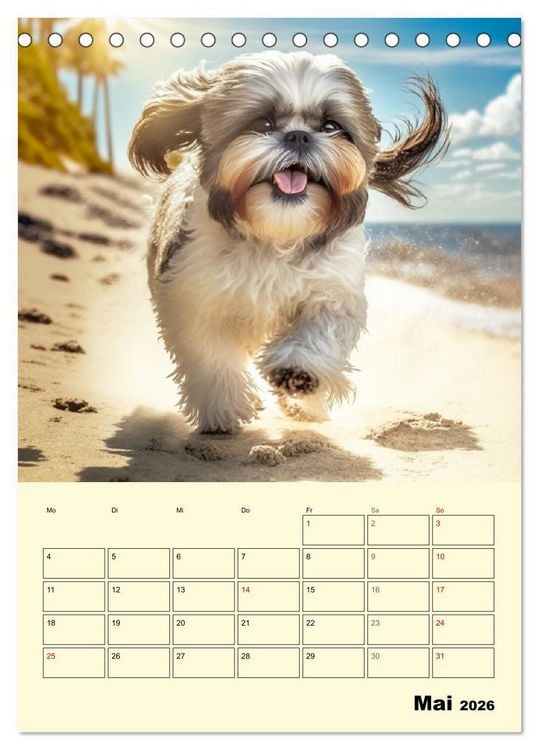Produktbild: Shih Tzu Alarm. Gl&uuml;ckliche Wuschelk&ouml;pfe (Tischkalender 2026 DIN A5 hoch), CALVENDO Monatskalender