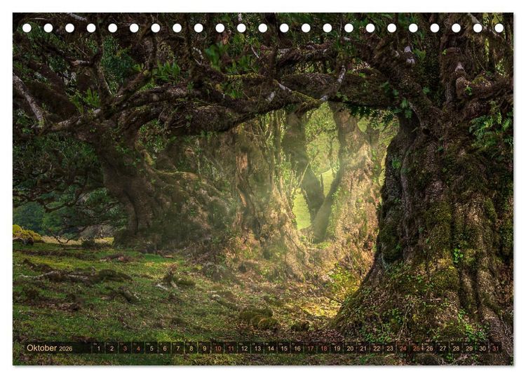 Produktbild: Madeira, Insel zwischen Himmel und Meer (Tischkalender 2026 DIN A5 quer), CALVENDO Monatskalender