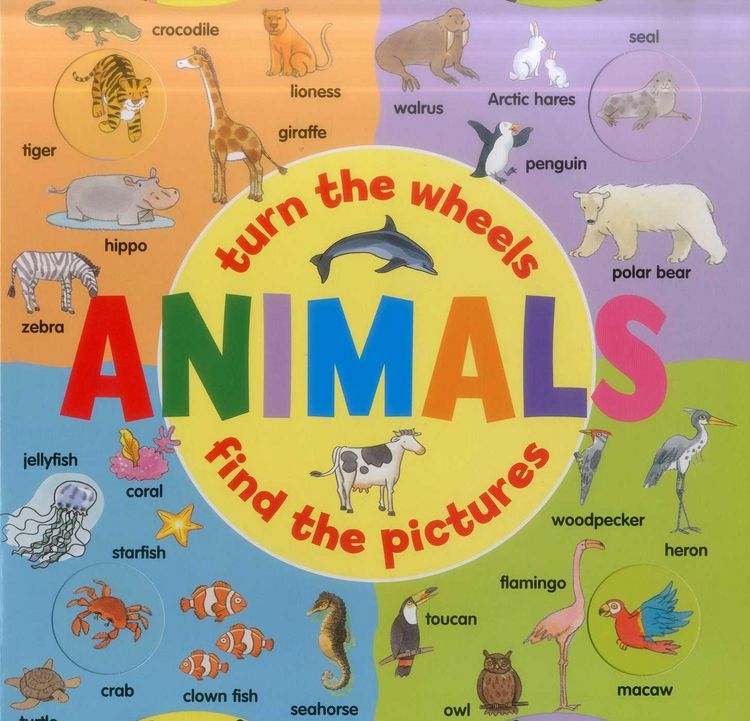Produktbild: Animals: Turn the Wheels - Find the Pictures
