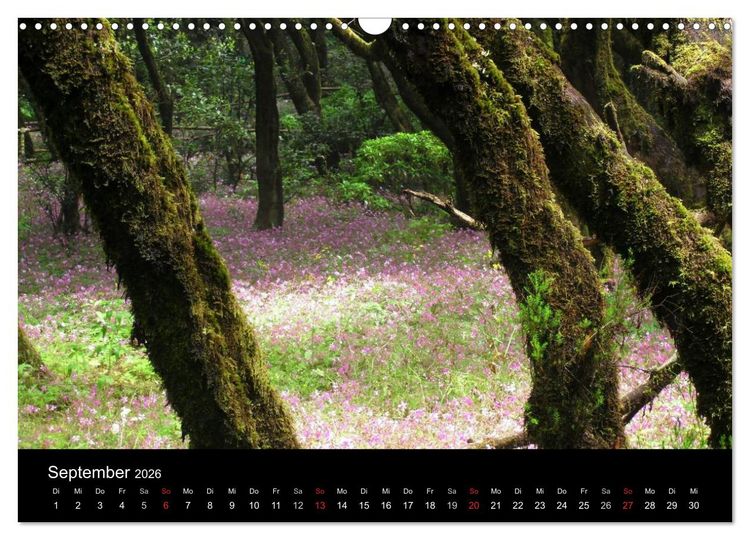 Produktbild: La Gomera (Wandkalender 2026 DIN A3 quer), CALVENDO Monatskalender