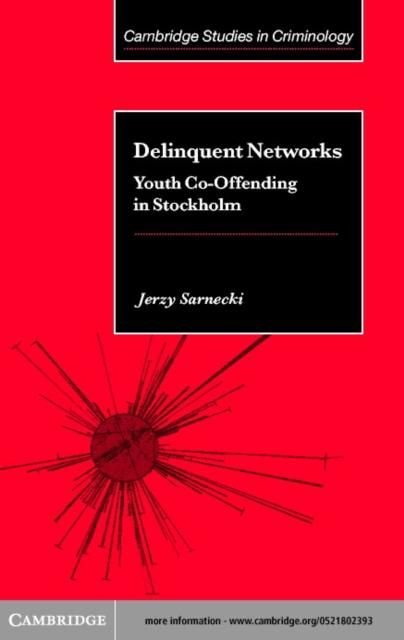 Produktbild: Delinquent Networks
