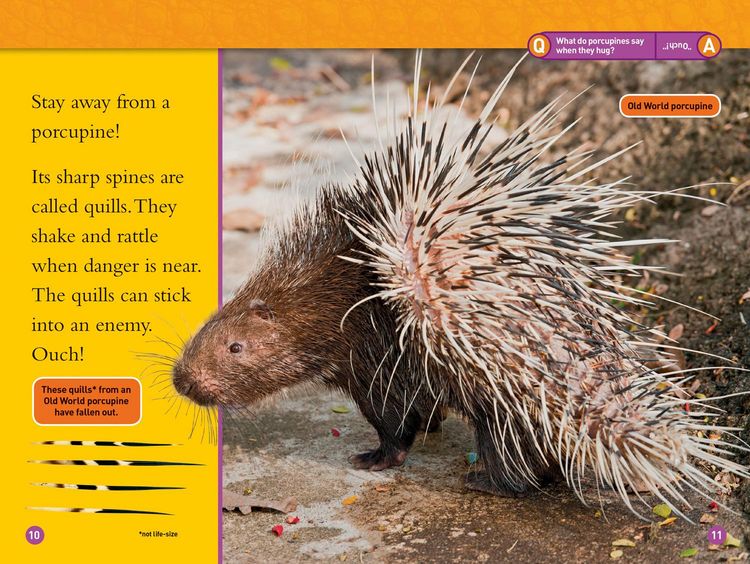 Produktbild: Animal Armor (National Geographic Kids Readers, Level 1)
