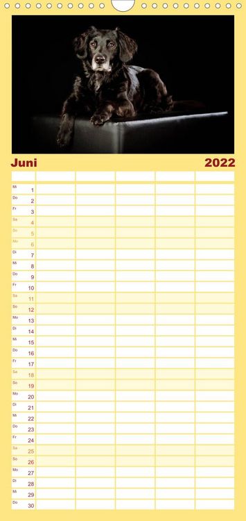 Produktbild: Familienplaner Bunte Pfoten (Wandkalender 2022 , 21 cm x 45 cm, hoch)