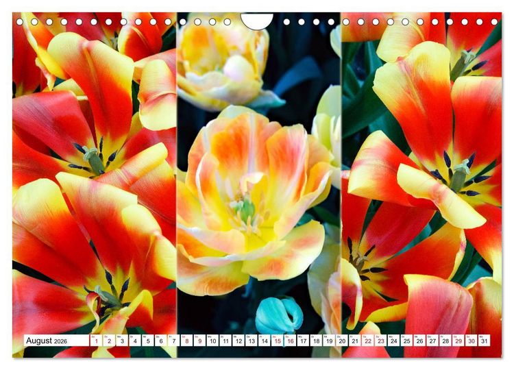 Produktbild: Tulpen - kunterbunte Collagen (Wandkalender 2026 DIN A4 quer), CALVENDO Monatskalender